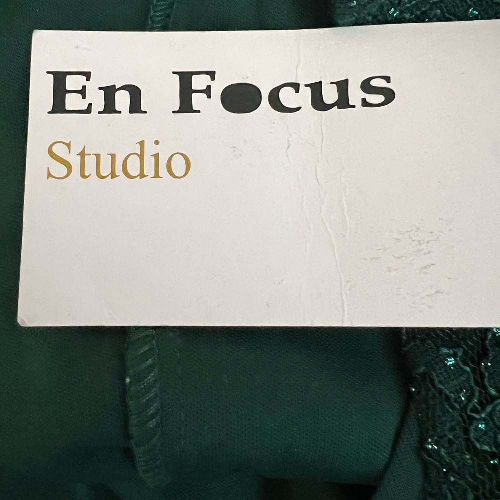 Enfocus Studio Green Plunge Neck Sleeveless Gown - Picture 13 of 14